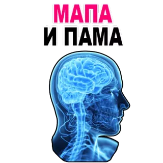 😉 МАПА И ПАМА brain, head, mind, anatomy, medical telegram sticker