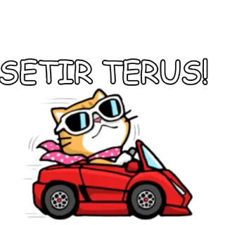 🚎 SETIR TERUS! gato, dirigindo, carro, óculos de sol, cachecol telegram sticker