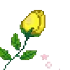 🌼