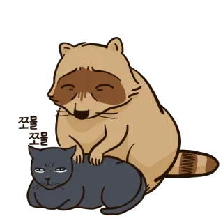 👐 쪼좌쪼좌쪼좌 Waschbär, Katze, Tier, Süß, Cartoon, Aufkleber telegram sticker
