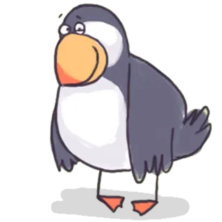 🐦 นกพัฟฟิน, นก, การ์ตูน, สัตว์, น่ารัก telegram sticker