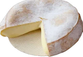 🧀 kaas, eten, zuivel, rond, zachte kaas telegram sticker