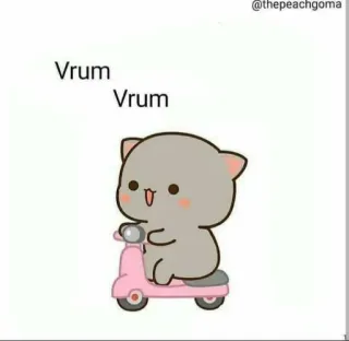 🏍 Vrum Vrum cute, cat, scooter, peach, goma, cartoon whatsapp sticker