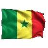 🇸🇳