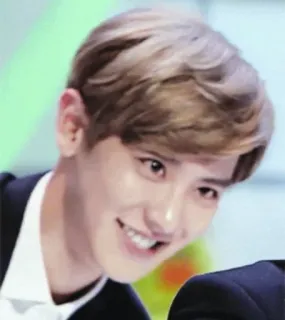 🌙 retrato, pessoa, homem, K-pop, sorrindo, asiático telegram sticker