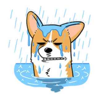 Dr.Stealth6 telegram stickers