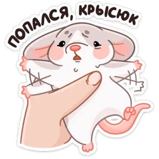 🐀 ПОПАЛСЯ, КРЫСЮК souris, attrapé, animal, autocollant, dessin animé telegram sticker