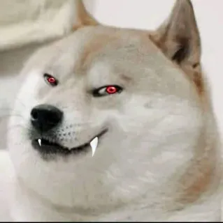 👻 Doge Meme, Doge, Hond, Kwaad, rode ogen, Vampier telegram sticker