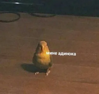 😔 мине адинока telegram sticker