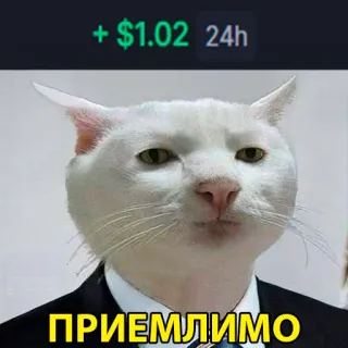 😌 ПРИЕМЛИМО chat, costume, mème, acceptable, russe, affaires, investissement, argent telegram sticker