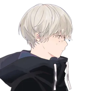 😕 anime, boy, hoodie, character, illustration telegram sticker