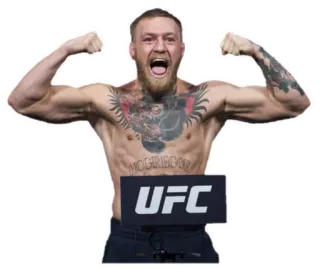 💪 Conor McGregor UFC luchador, boxeo, deporte, campeón, mma telegram sticker