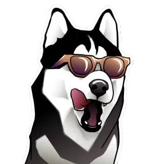 😎 chó, husky, kính râm, ngầu, động vật telegram sticker