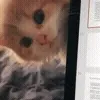 👀