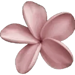 🌸