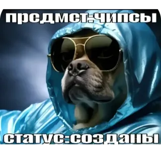 🫥 предмет:чипсы
статус:созданы chien, mème, lunettes de soleil, chips, drôle, animal de compagnie telegram sticker