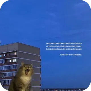 Больше стиков тут: @stikery4 telegram stickers