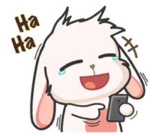 😂 Ha
Ha coelho, rindo, feliz, emoji, adesivo, fofo, coelhinho telegram sticker
