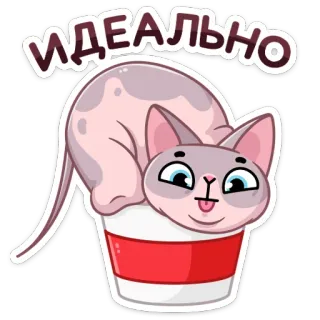 👌 ИДЕАЛЬНО cat, coffee, cup, cute, sphynx, perfect, ideal telegram sticker