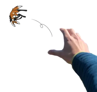👋 volpe, animale, mano, lanciare, cartone animato, adesivo telegram sticker