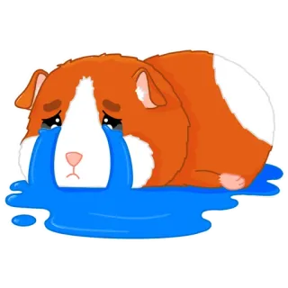 😥 モルモット, 泣く, 悲しい, 動物, ペット, 涙, 感情, 漫画 telegram sticker
