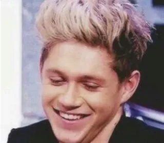 ☺️ Niall Horan niall horan, one direction, cantante, celebridad, estrella pop telegram sticker