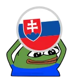 🇸🇰