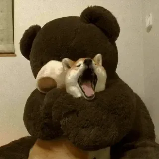 🐾 Hund, Teddybär, süß, schläfrig, Gähnen whatsapp sticker