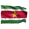 🇸🇷