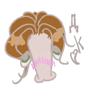 💄 champignon, plante, nature, champignon, marron, rose whatsapp sticker