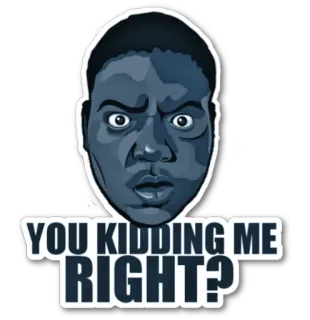 😱 YOU KIDDING ME RIGHT? biểu cảm, khó chịu, tức giận, câu hỏi, bạn đùa à? telegram sticker