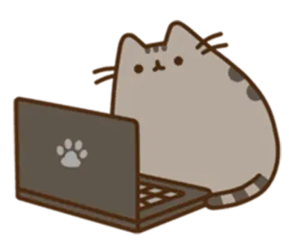 💻 Pusheen cat, laptop, cartoon, pusheen, animal, internet whatsapp sticker