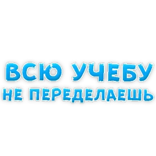 😔 ВСЮ УЧЕБУ НЕ ПЕРЕДЕЛАЕШЬ russian text, student, study, humor telegram sticker