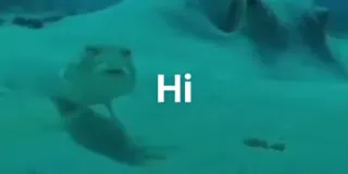 🍆 Hi океан, рыба, море, привет telegram sticker