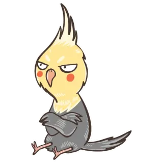 😒 uccello, calopsitta, carino, animale, cartone animato, illustrazione telegram sticker
