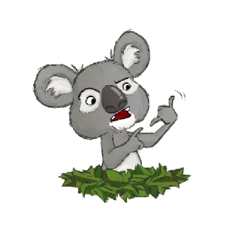 Koala whatsapp stickers