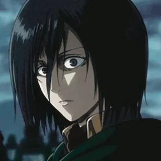 😨 Mikasa Ackerman Attack on Titan Anime, Personaje, Mikasa Ackerman, Ataque a los Titanes, AOT telegram sticker