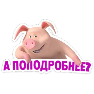 👧 А ПОПОДРОБНЕЕ? maiale, domanda, richiesta, dettaglio, cartone animato, animale telegram sticker