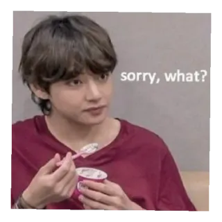 😄 sorry, what? kpop, bts, 뷔, 태형, 밈, 미안, 뭐 telegram sticker