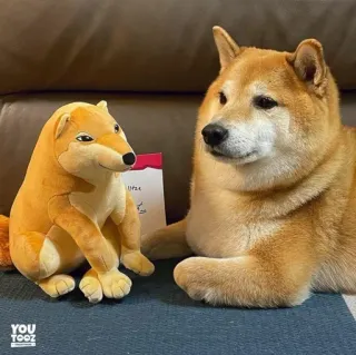 ❤️ dog, shiba inu, meme, plush, doge, youtooz telegram sticker