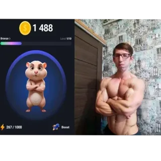 ❤ Hamster Kombat 1 488 whatsapp sticker