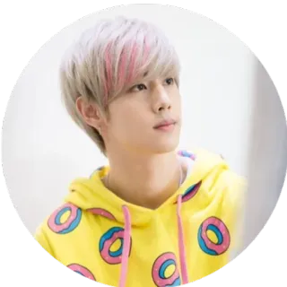 🙂 pessoa, homem, retrato, donut, moletom com capuz, k-pop telegram sticker