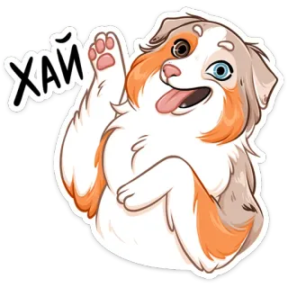 ⏺ ХАЙ собака, милый, машет, привет, русский, хай, животное, стикер telegram sticker