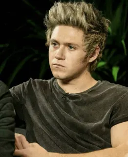 🥀 Niall Horan person, musician, singer, male, celebrity telegram sticker