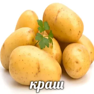 😍 краш 감자, 채소, 음식, 러시아어, 텍스트, 작물 telegram sticker