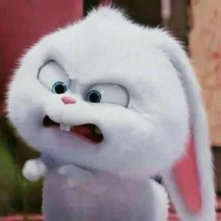 🐰 Snowball The Secret Life of Pets conejo, conejo, enojado, lindo, animal, dibujos animados whatsapp sticker