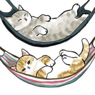 😴 gato, gatito, hamaca, relajante, lindo, animal, mascota whatsapp sticker