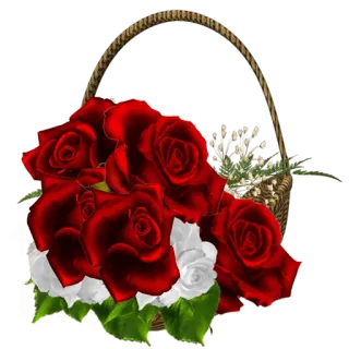 🌹 красные розы, цветы, корзина, цветочный, букет telegram sticker