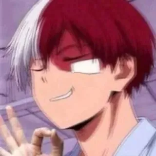 👌 Shoto Todoroki My Hero Academia Anime, Manga, My Hero Academia, Shoto Todoroki, Geste OK telegram sticker