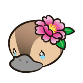 😢 platipus, binatang, bunga, kartun, imut telegram sticker